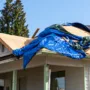 featured image - What is the Average Roof Replacement Time