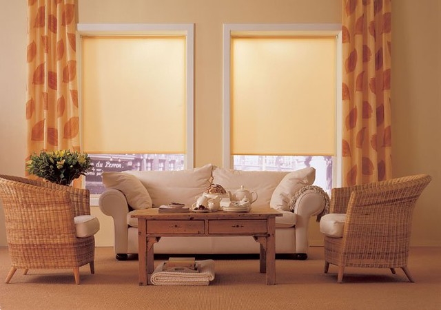 image - What is the Difference Between a Roller Shade and a Screen Shade ?