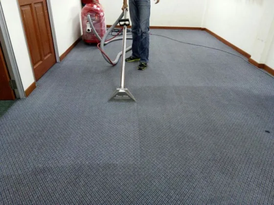 featured image - What to Expect from Spotless Carpet Cleaning