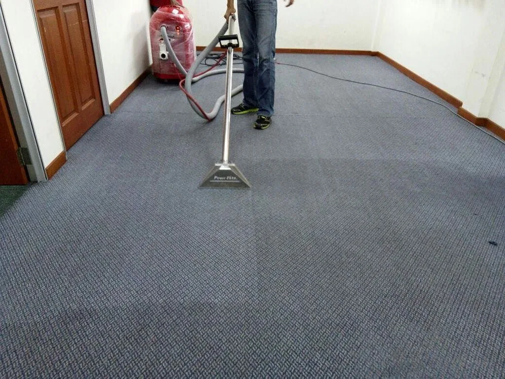 featured image - What to Expect from Spotless Carpet Cleaning