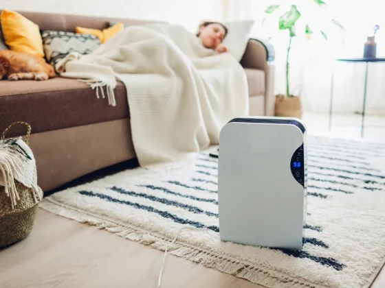 featured image - Benefits And Limitations of HEPA Air Purifier