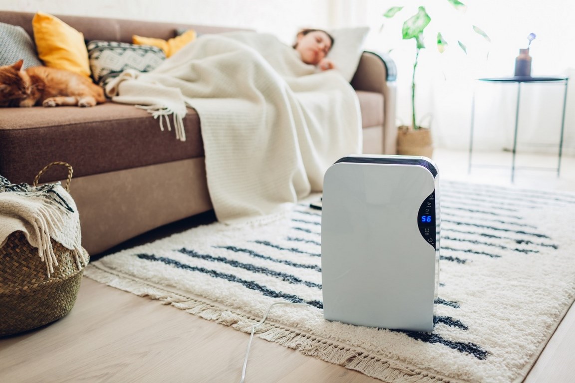Benefits And Limitations of HEPA Air Purifier image - Benefits And Limitations of HEPA Air Purifier