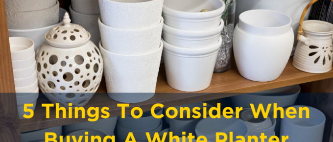 5 Things to Consider When Buying a White Planter