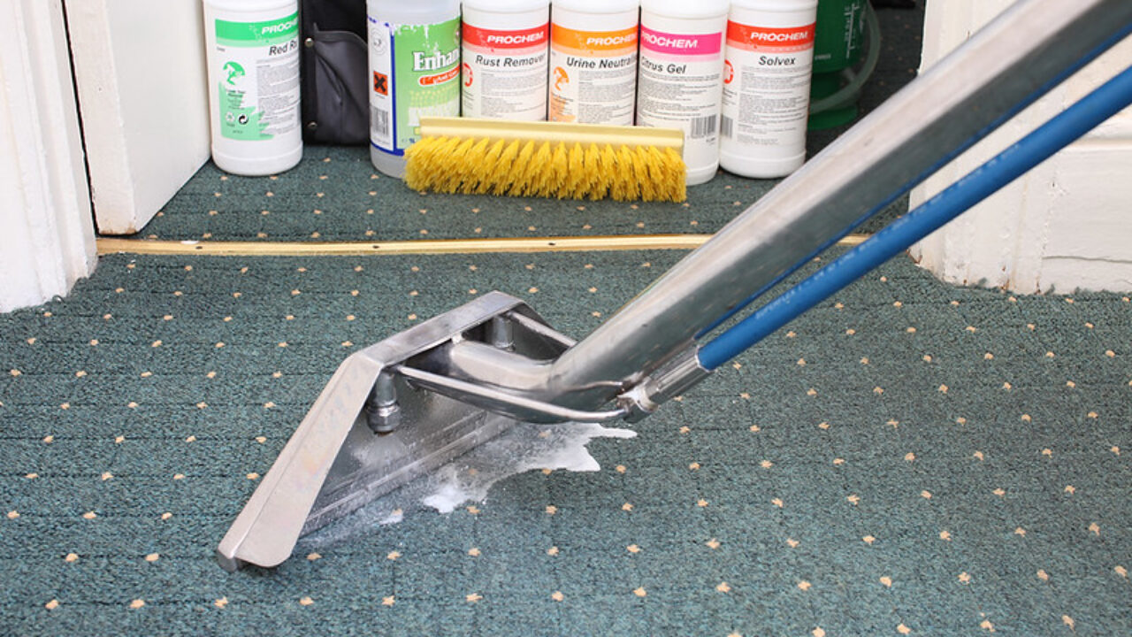 DIY Carpet Cleaner Solution for Pet Urine