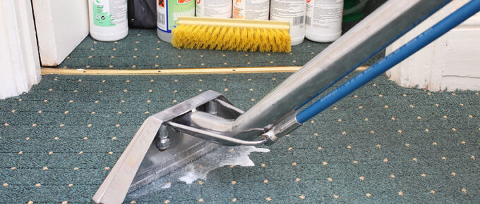 DIY Carpet Cleaner Solution for Pet Urine
