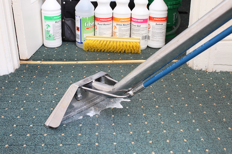 image - DIY Carpet Cleaner Solution for Pet Urine