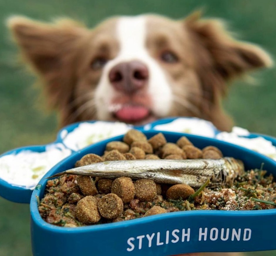 Dog Owner’s Guide to Organising Pet Supplies Throughout the Home image - Dog Owner’s Guide to Organising Pet Supplies Throughout the Home