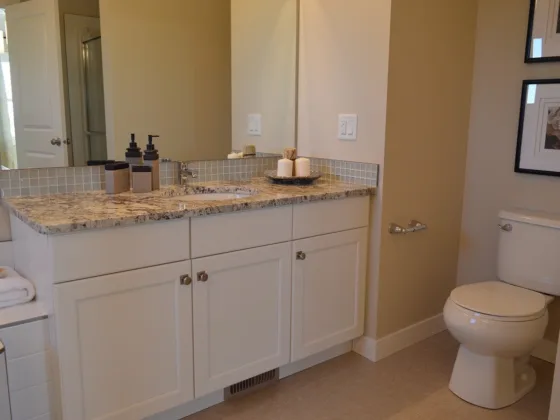 featured image - Five Styles of Bathroom Vanities