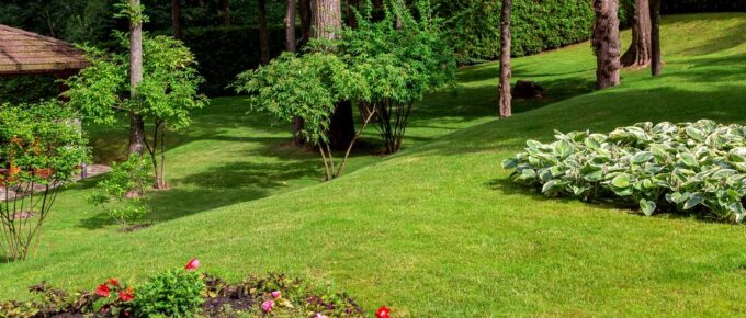 Garden Landscaping 101: 7 Tips to Work with a Sloped Yard