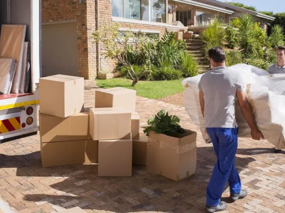 Cardboard boxes on a driveway with a boxed houseplant while movers carry wrapped furniture into a truck at a suburban home.