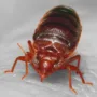 featured image - The Top 10 Things You Should Know About Bed Bugs