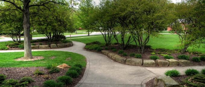 Top 5 Things to Consider Before You Begin Landscaping