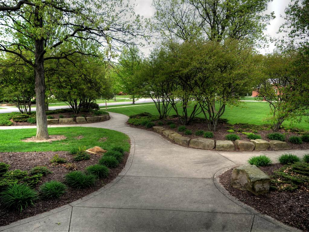 image - Top 5 Things to Consider Before You Begin Landscaping