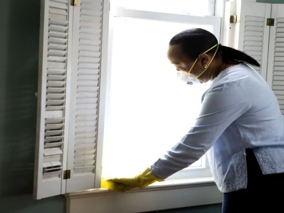 featured image - Top Tips for House Maintenance