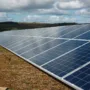 featured image - What are the Different Types of Renewable Energy?