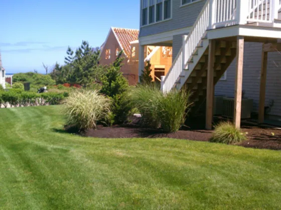 featured image - When is the Best Time to Hydroseed My Lawn