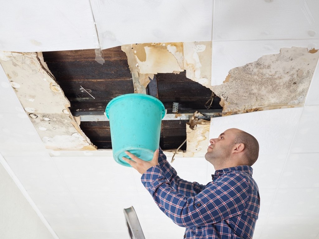 image - Who Do I Call to Fix a Roof Leak?