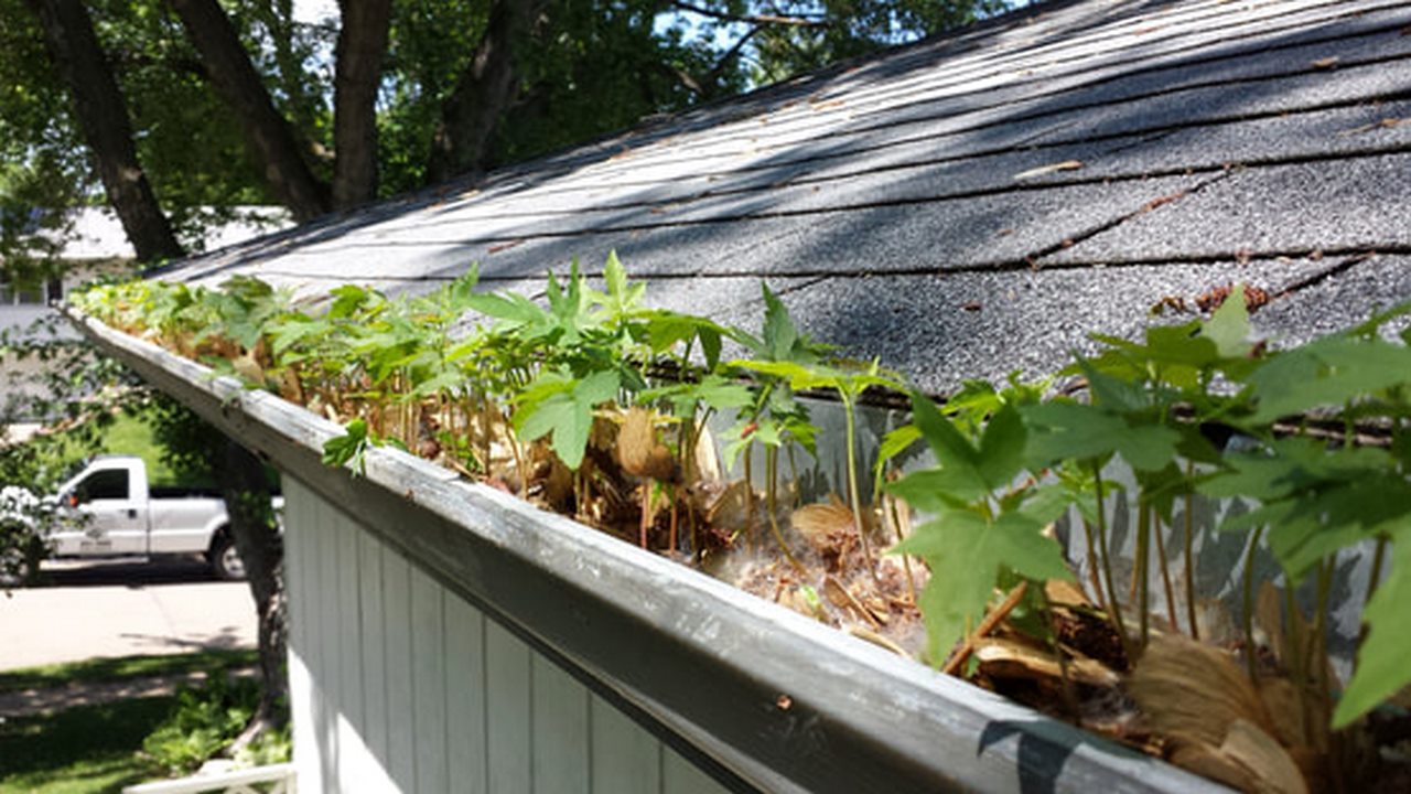 Why is Gutter Cleaning Important image - Why is Gutter Cleaning Important