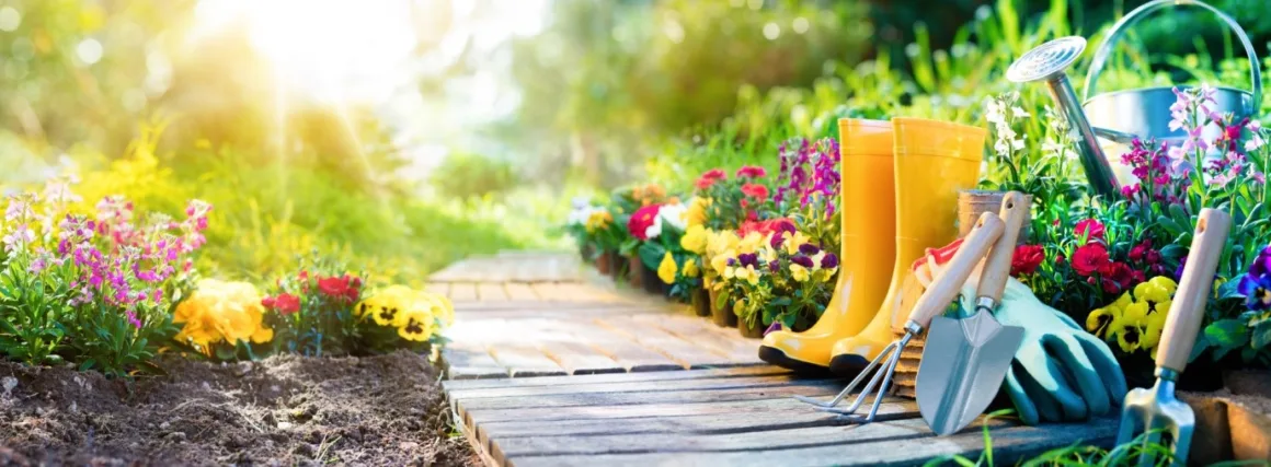featured image - 4 Important Garden Maintenance Tips for Beginner Gardeners