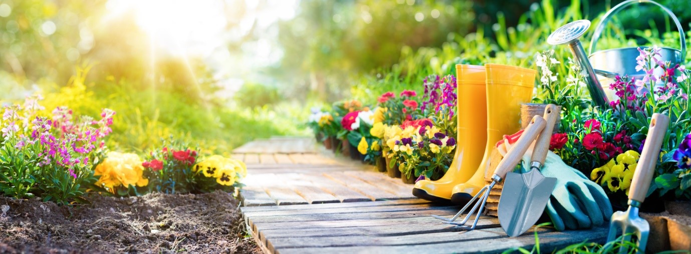 4 Important Garden Maintenance Tips for Beginner Gardeners image - 4 Important Garden Maintenance Tips for Beginner Gardeners