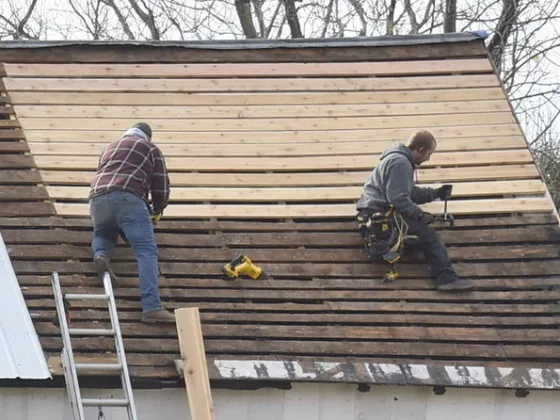 featured image - 4 Signs Your Home Needs an Immediate Roof Replacement