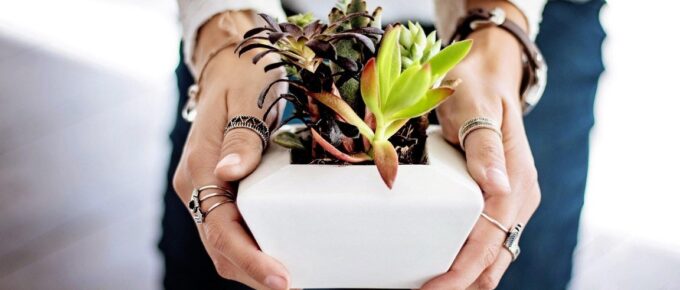 7 Incredible Benefits of Gardening for Students