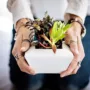 featured image - 7 Incredible Benefits of Gardening for Students