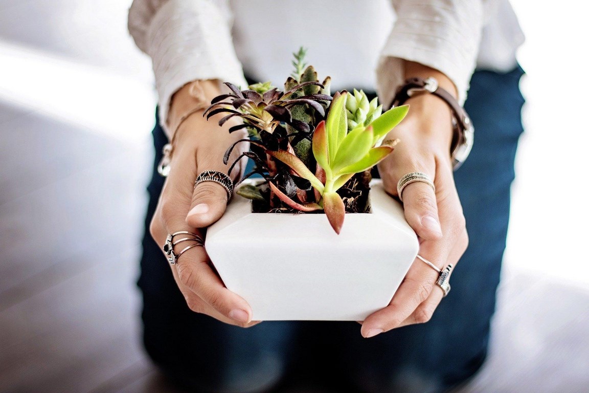 7 Incredible Benefits of Gardening for Students image - 7 Incredible Benefits of Gardening for Students