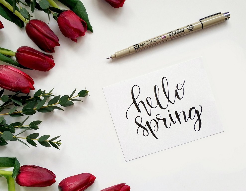 Beautiful Spring Flowers to Make Your Garden Pop image - Beautiful Spring Flowers to Make Your Garden Pop