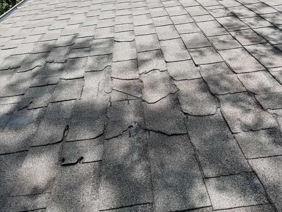 featured image - Can You Replace Granules on Shingles?