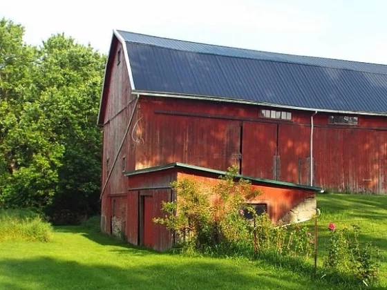 featured image - Essential Tips to Maintain a Barn roof in the Summer