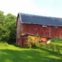 featured image - Essential Tips to Maintain a Barn roof in the Summer
