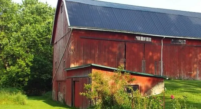 Essential Tips to Maintain a Barn Roof in the Summer