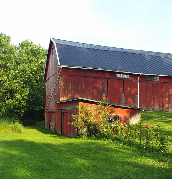 image - Essential Tips to Maintain a Barn roof in the Summer