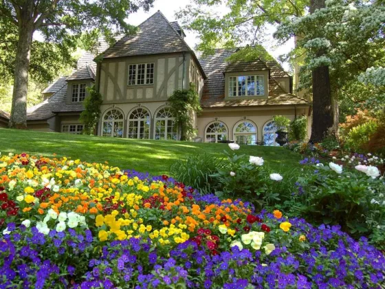 featured image - Everything You Need to Know About Landscaping and How Atlanta Landscaping Company Can Help Realize your Dream