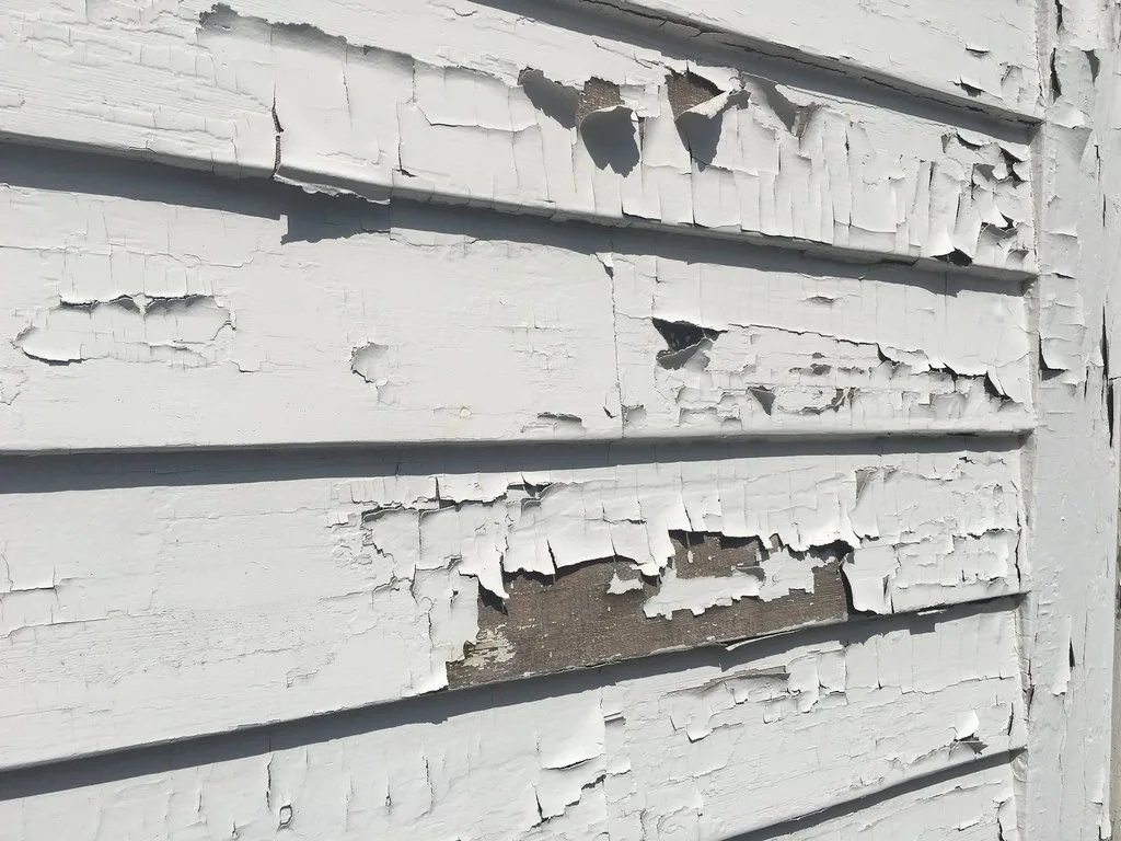 featured image - How to Safely Remove Lead Paint from Your Home