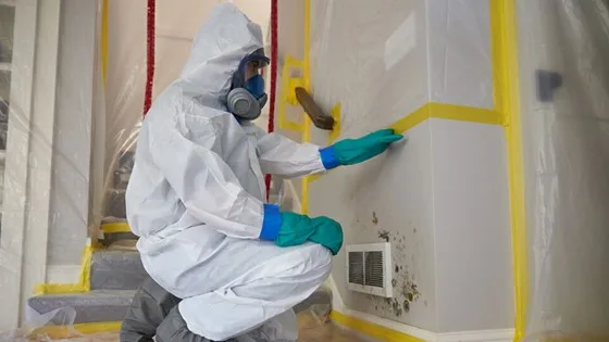 featured image - Factors Influencing the Quality of Indoor Air and the Health of You and Your Family