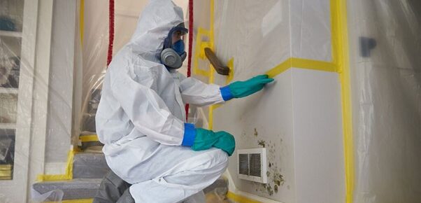 Factors Influencing the Quality of Indoor Air and the Health of You and Your Family
