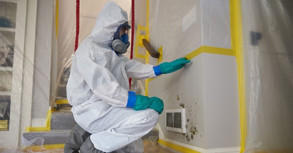 Factors Influencing the Quality of Indoor Air and the Health of You and Your Family image - Factors Influencing the Quality of Indoor Air and the Health of You and Your Family