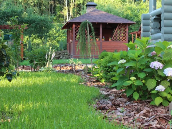 featured image - Spruce Up Your Backyard with These 5 Unique Tips