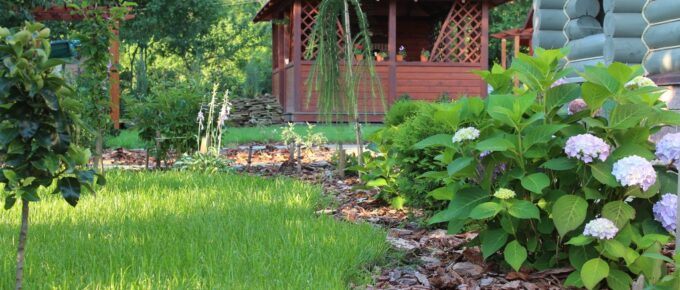 Spruce Up Your Backyard with These 5 Unique Tips