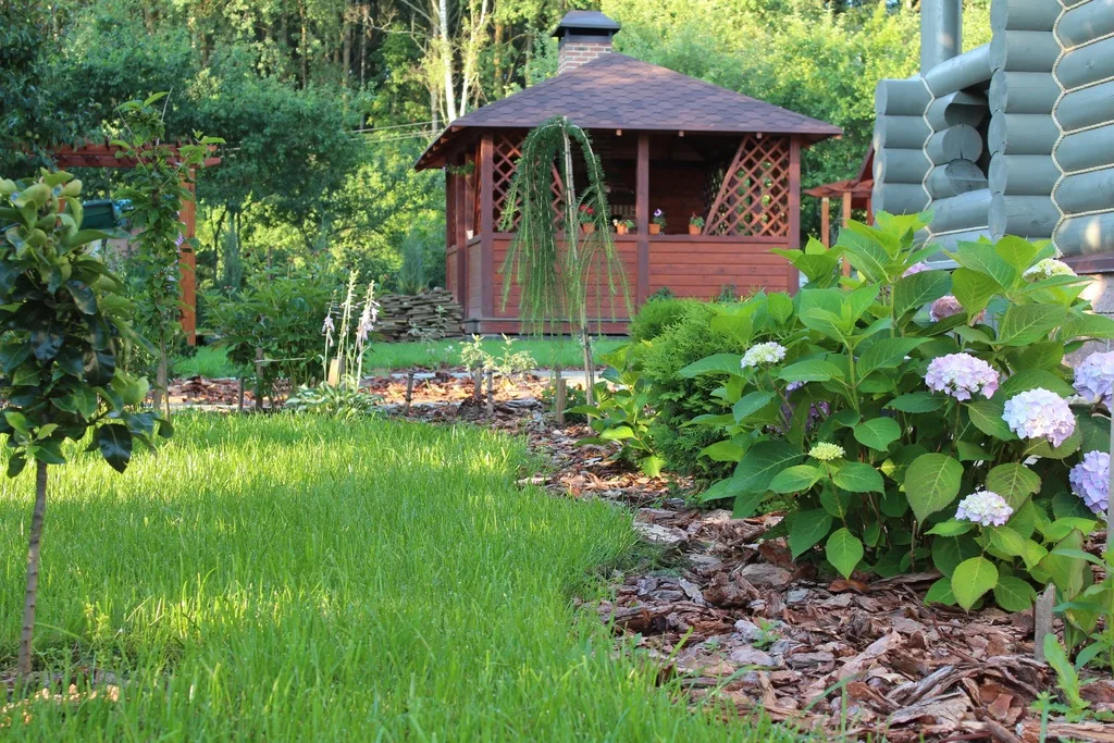 featured image - Spruce Up Your Backyard with These 5 Unique Tips