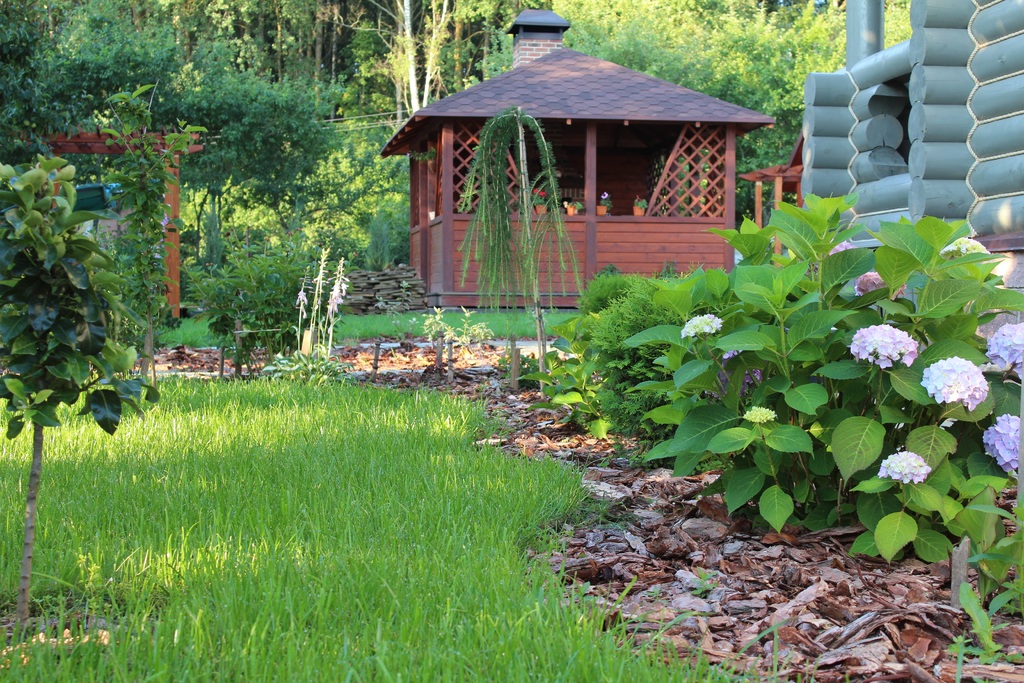 Spruce Up Your Backyard with These 5 Unique Tips image - Spruce Up Your Backyard with These 5 Unique Tips