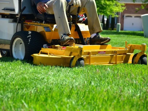 featured image - Three Reasons to Hire a Professional Company for Weed Control