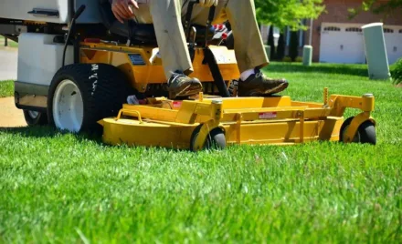 featured image - Three Reasons to Hire a Professional Company for Weed Control