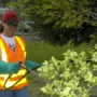 featured image - Top 10 Things to Know About Your Commercial Landscape Management