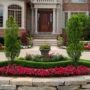 featured image - What are the Principles of Landscape Design?