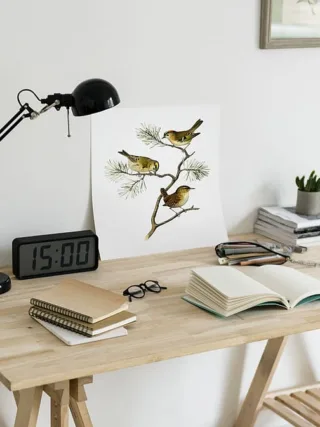 featured image - 7 Ways to Organize Your Study Space for Success