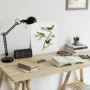 featured image - 7 Ways to Organize Your Study Space for Success