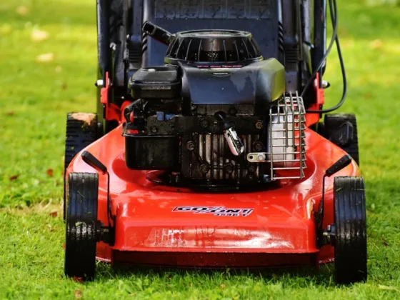 featured image - Buying the Perfect Lawnmower for Your Needs